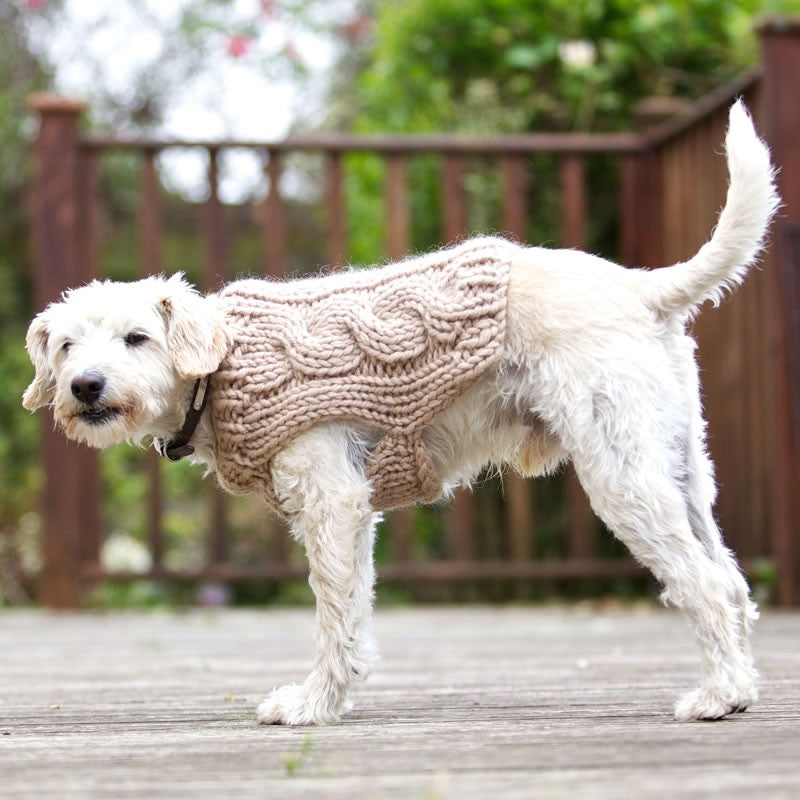 Oscar Dog Coat Knitting Pattern